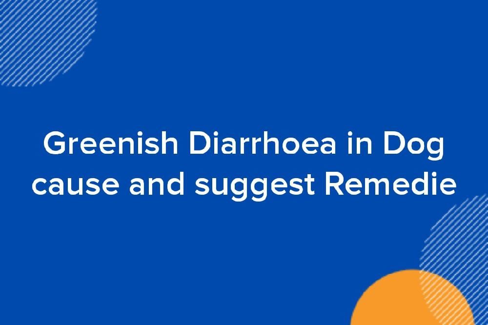 Greenish Diarrhoea in Dog cause and suggest Remedie