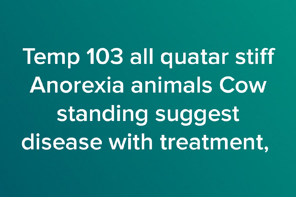 Temp 103 all quatar stiff Anorexia animals Cow standing suggest disease
