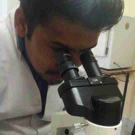 Ankit Dimri's profile on Curofy